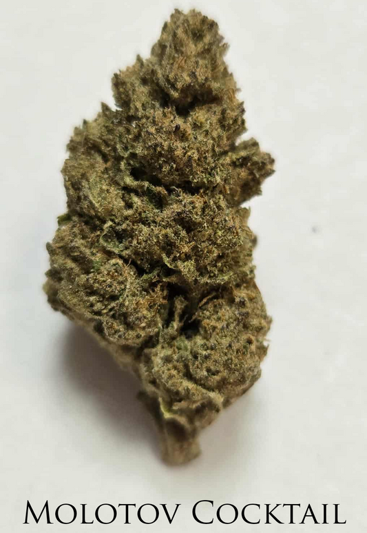Molotov Cocktail THCa Flower